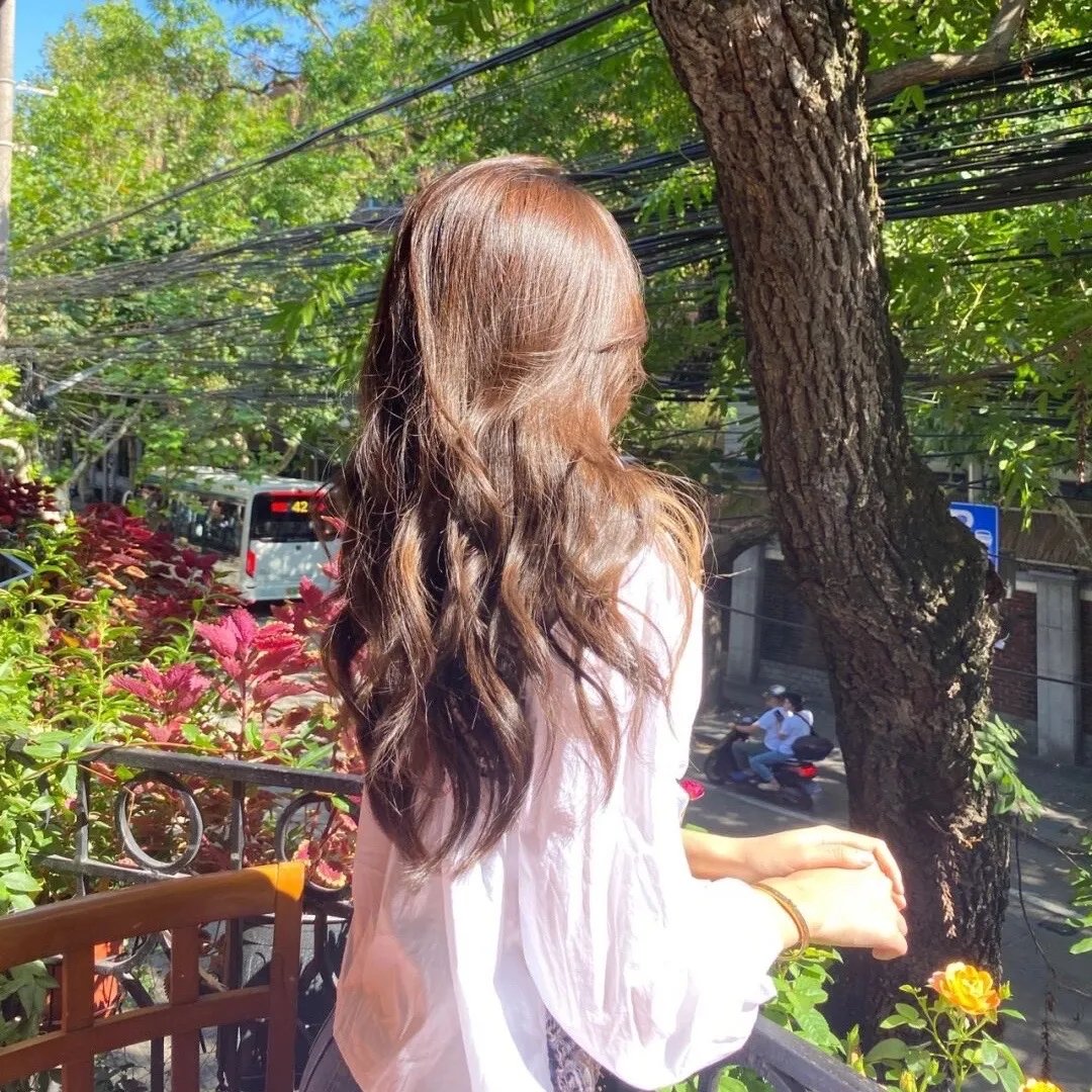 兔子镇的火狐狸